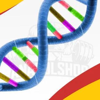 Genetics and Bodybuilding